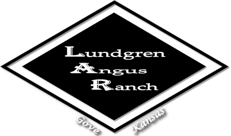 Lundgren Angus Ranch